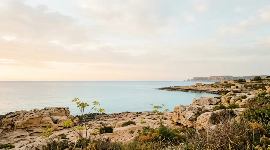 Still Mediterranean sea and limestone shore along the Maltese coast at dawn
